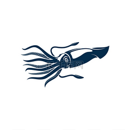 蓝色航海标志图片_鱿鱼分离的头足类海洋动物有吸盘