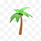 3D夏天夏季椰子树椰树植物