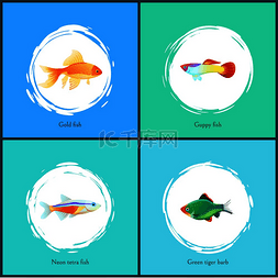 金鱼和水图片_金鱼和霓虹灯四重奏海报古皮绿色