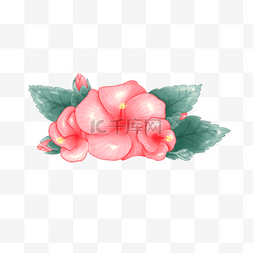 红色玫瑰背景图片_水彩卡通木槿花大红花