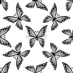 精致的黑白蝴蝶的无缝图案，翅膀