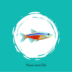 霓虹灯动物图片_白色圆圈中的霓虹灯四鱼被蓝色隔