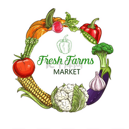 绿色植物框架图片_农场蔬菜草图框架、食品市场收获
