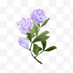 栀子花紫色水彩婚礼花卉