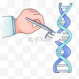 dna插画图片_基因中的生物健康密码