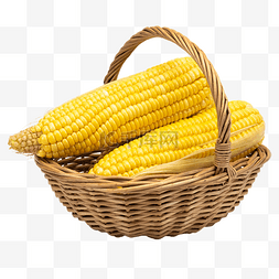 篮子里的黄色玉米