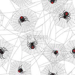 与黑寡妇蜘蛛的无缝模式。