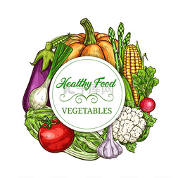 蔬菜、健康的绿色食品、矢量蔬菜
