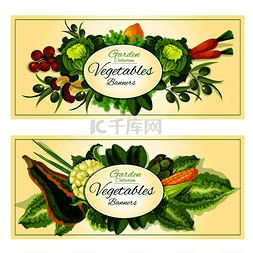 健康的农场蔬菜和水果横幅，包括