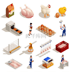 包装设计图片_肉鸡生产农场等轴测元素集鸡蛋孵