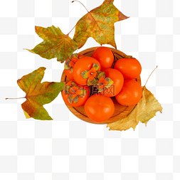 秋季果实水果柿子