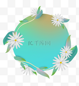 白菊花水图片_夏天菊花花边框