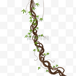 细长的树枝图片_绿色植物藤蔓藤叶