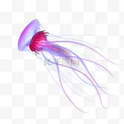 紫色的水母图片_发光的海洋生物水母