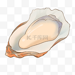 牡蛎素材图片_黄色鲜嫩牡蛎剪贴画