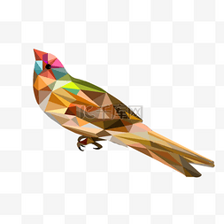 色彩亮丽图片_低聚鸟类几何形状鸟类