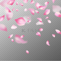 日本风背景图片_粉红色的樱花花瓣。
