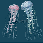 详细透明的水母。在蓝色背景上的粉色和蓝色的大海果冻。矢量图