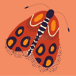 虫类图片_彩色手绘蛾类插图风格化的飞虫装