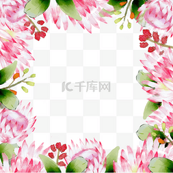 手绘彩色花卉边框图片_普罗蒂亚花卉美丽自然边框