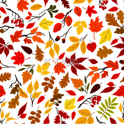 五颜六色的秋天树叶和浆果无缝壁