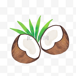 夏季椰子