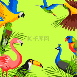 热带雨林鹦鹉图片_背景是热带珍禽丛林和热带雨林的