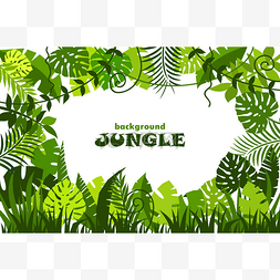 jungle图片_tropical leaves pattern