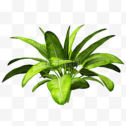 c4d植物图片_C4D立体仿真树叶3D叶子
