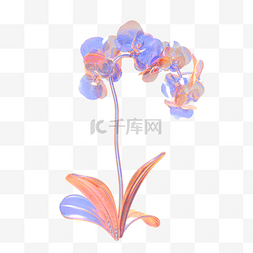 时尚花图片_c4d酸性玻璃蓝橙蝴蝶兰