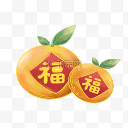 食物图片_金色的福橘
