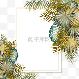 彩色棕榈叶图片_白色长方形边框手绘夏天彩色棕榈