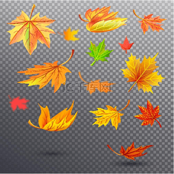 秋天的枫叶树图片_明亮的秋天落下的枫叶插图。