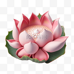 粉色质感花朵图片_3D立体黏土质感花朵粉色莲花