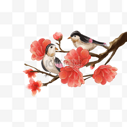 中国风格水彩花鸟画红色