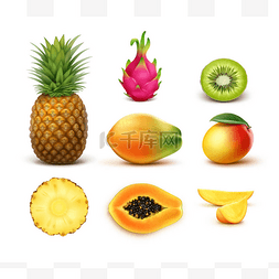 食物类图标图片_热带水果一套