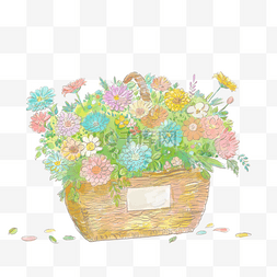 篮子里的青提图片_水彩花篮植物鲜花