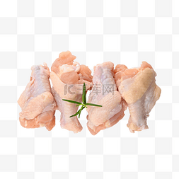 生鲜迷迭香鸡腿特写生鸡肉