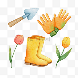 雨靴矢量图片_花园工具和郁金香水彩