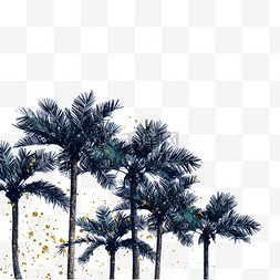 红枣棕图片_夏季椰树棕榈树元素