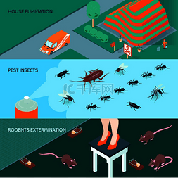 条幅背景图片_家用消毒横条幅配有昆虫和啮齿动