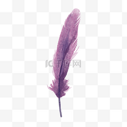 鸿毛图片_纤羽翅膀紫色笔杆图片