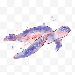 海龟水彩动物可爱