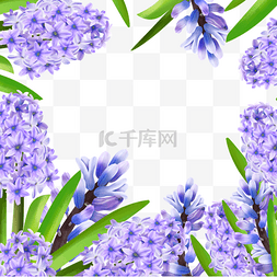 鲁花logo图片_诺鲁孜节园艺植物风信子花边框