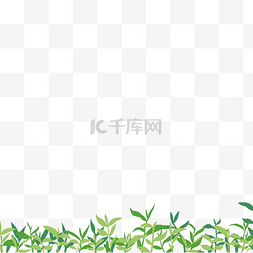 阳台绿植扁平图片_春季茶叶植物绿植