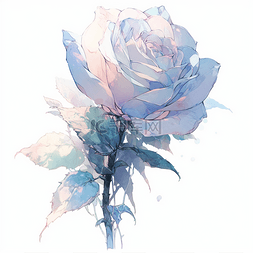 水彩玫瑰花蔷薇花
