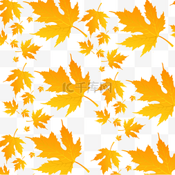 秋天秋季黄色树叶枫叶底纹