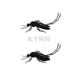 卡通蚊子害虫图片_白色背景上的蚊子黑色剪影。