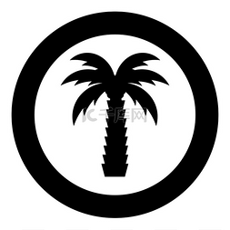 矢量热带椰子树图片_棕榈树热带椰子图标在圆形黑色矢