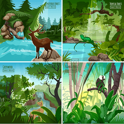 Forest Landscape 4 Flat Icon Square